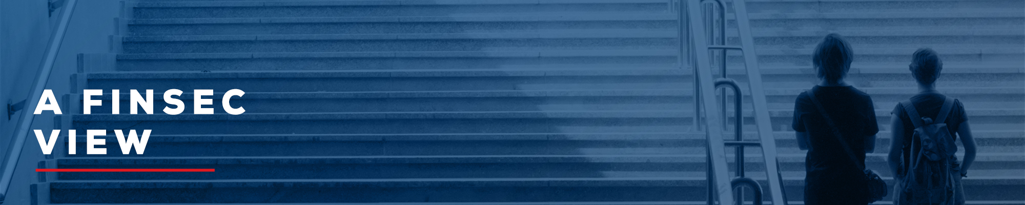 202005 – A FinSec View slide banner